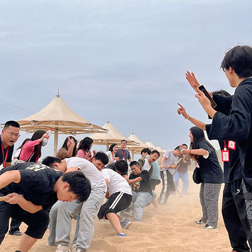 武汉艺考生文化课哪家好