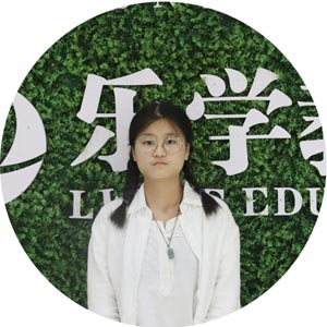 武汉艺考生文化课冲刺