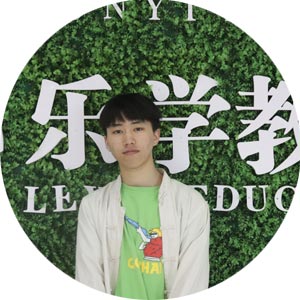 武汉艺考生文化课冲刺