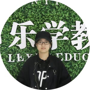 武汉艺考生文化课冲刺